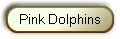 Pink Dolphins